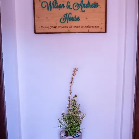 Wilson & Andrew House - Boho Bliss *