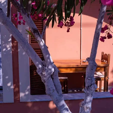 Wilson & Andrew House - Boho Bliss * Kounavadhes